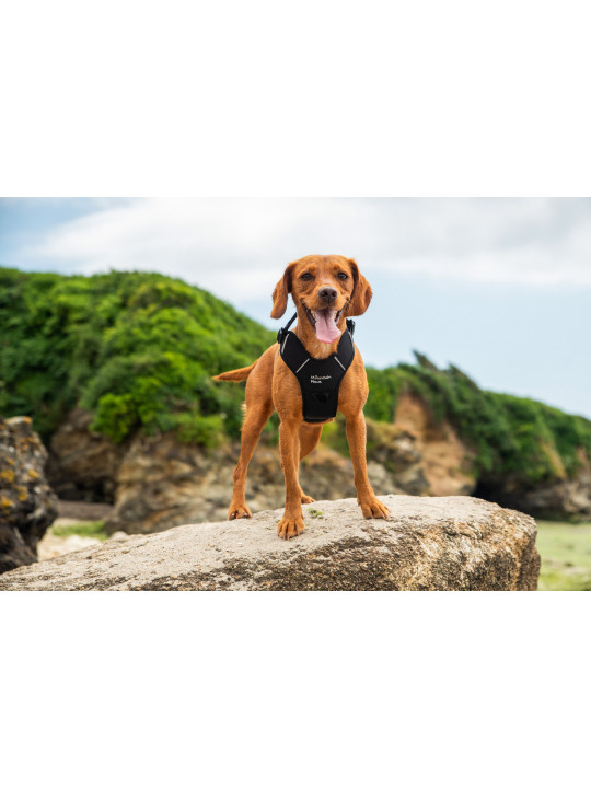 Szelki dla psa Mountain Paws - czarne