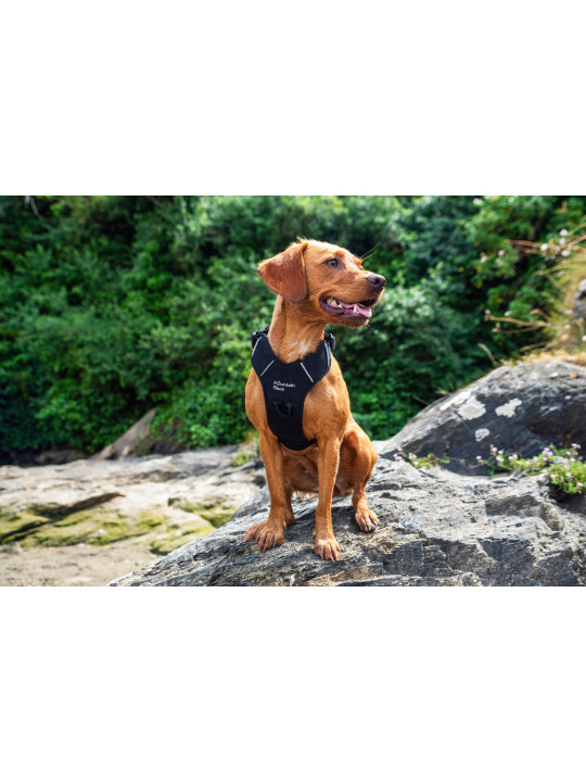 Szelki dla psa Mountain Paws - czarne