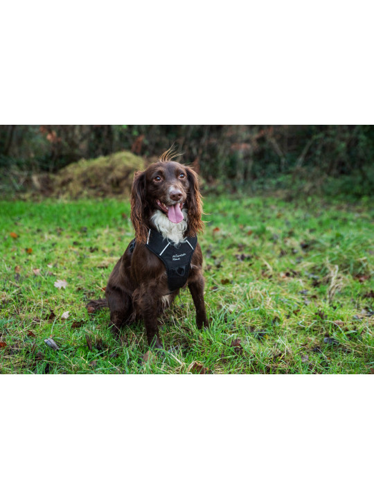 Szelki dla psa Mountain Paws - czarne