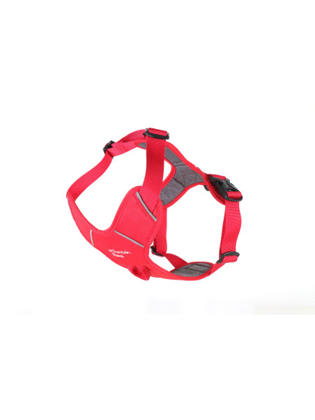 Szelki dla psa Mountain Paws - czerwone