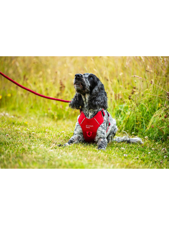 Szelki dla psa Mountain Paws - czerwone