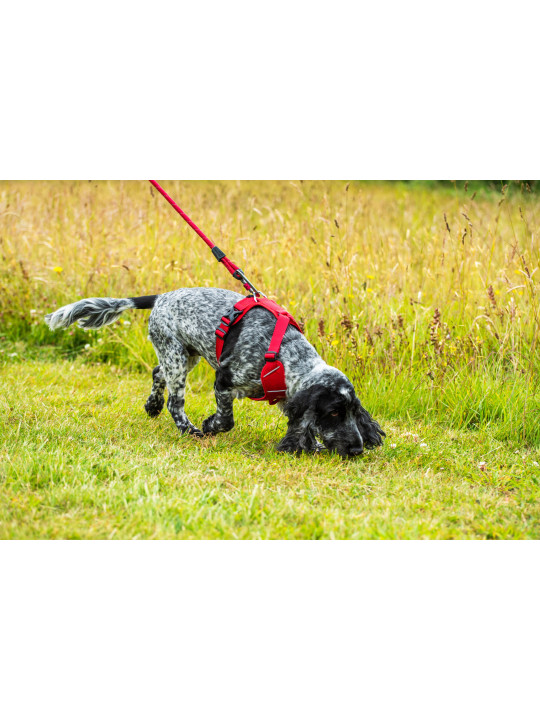 Szelki dla psa Mountain Paws - czerwone