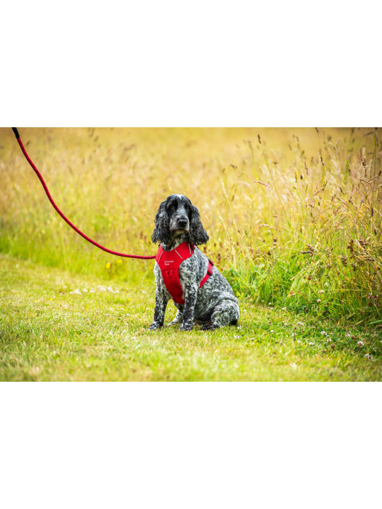 Szelki dla psa Mountain Paws - czerwone