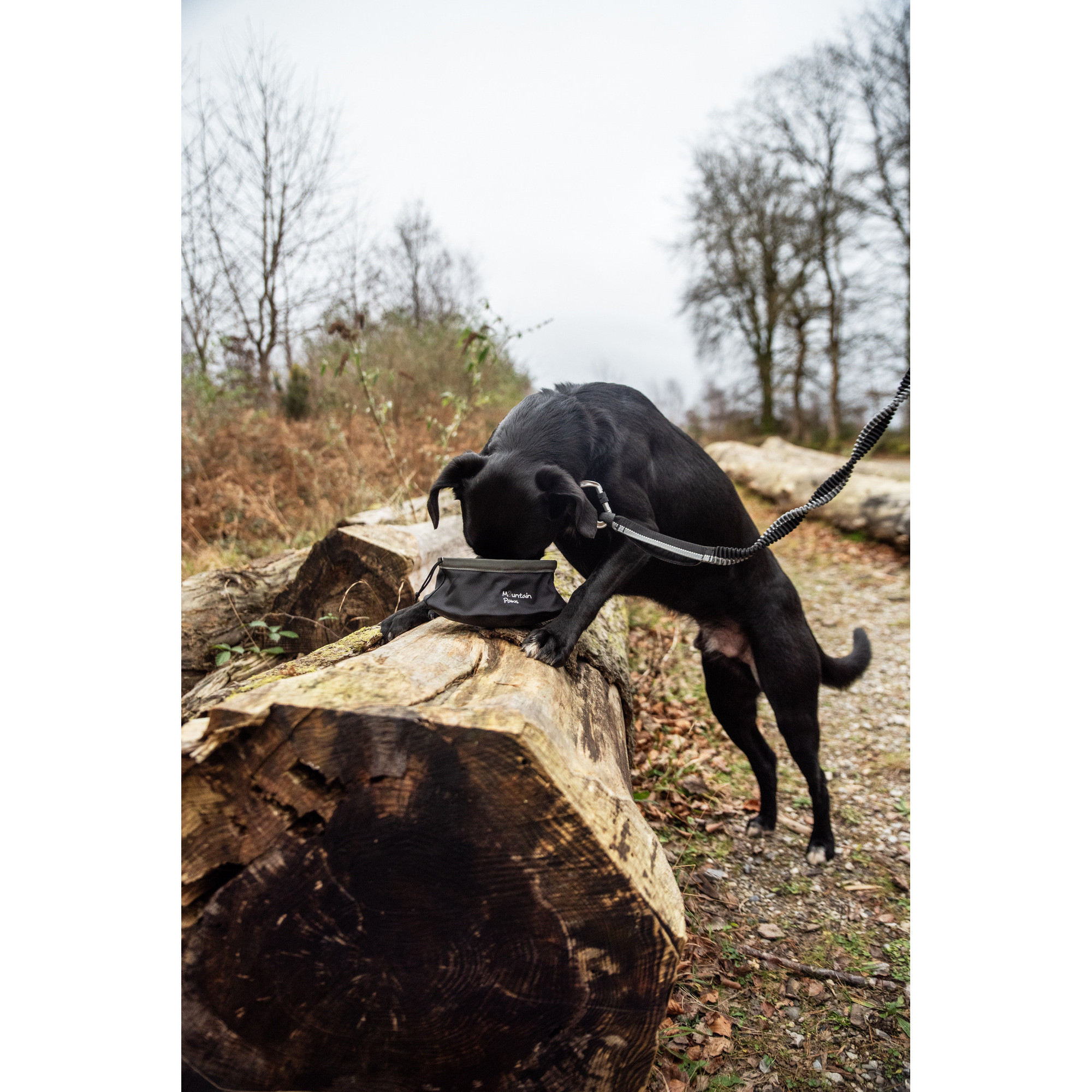 Składana, turystyczna miska do karmienia psa Mountain Paws