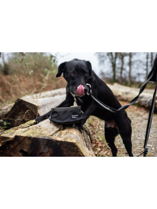 Składana, turystyczna miska do karmienia psa Mountain Paws