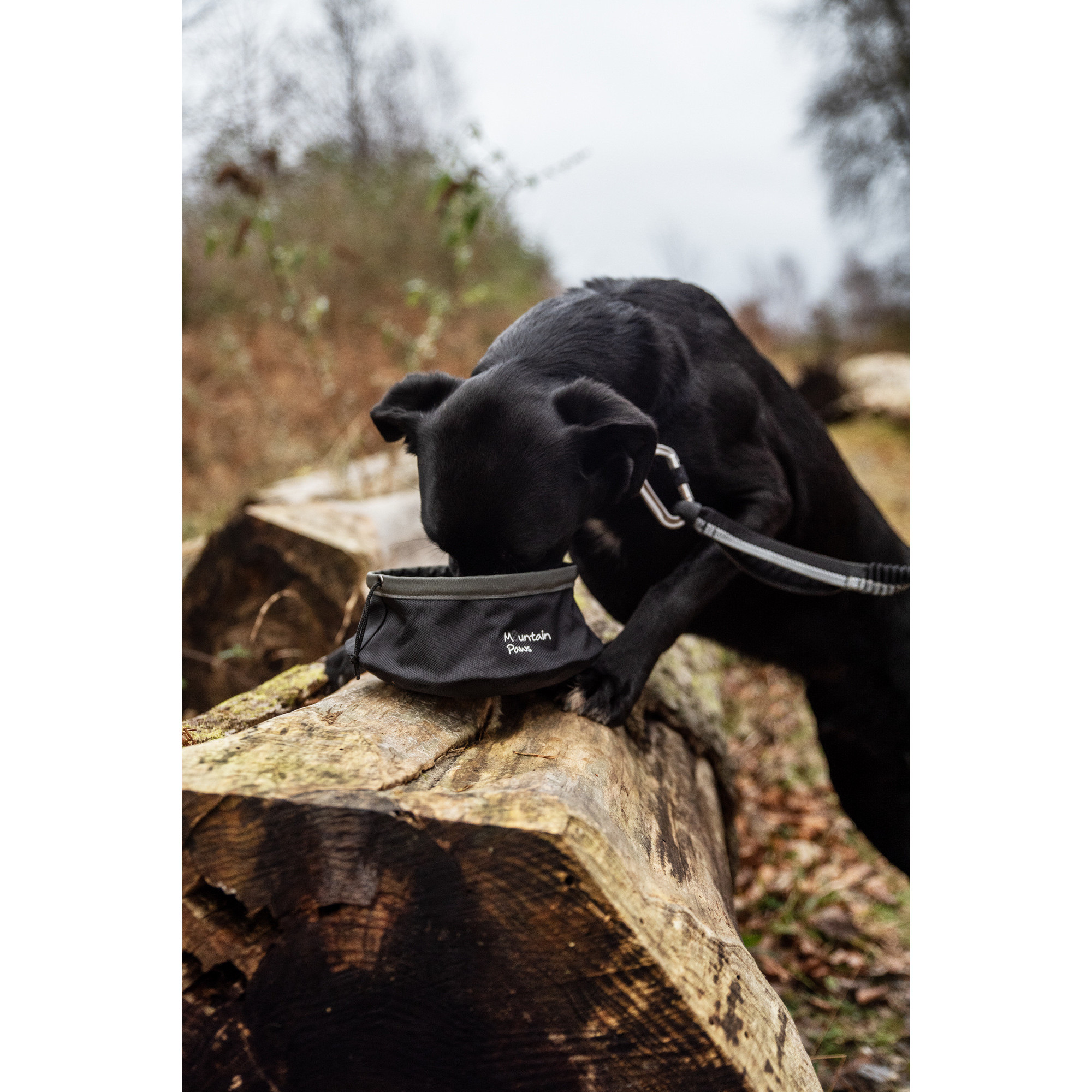 Składana, turystyczna miska do karmienia psa Mountain Paws
