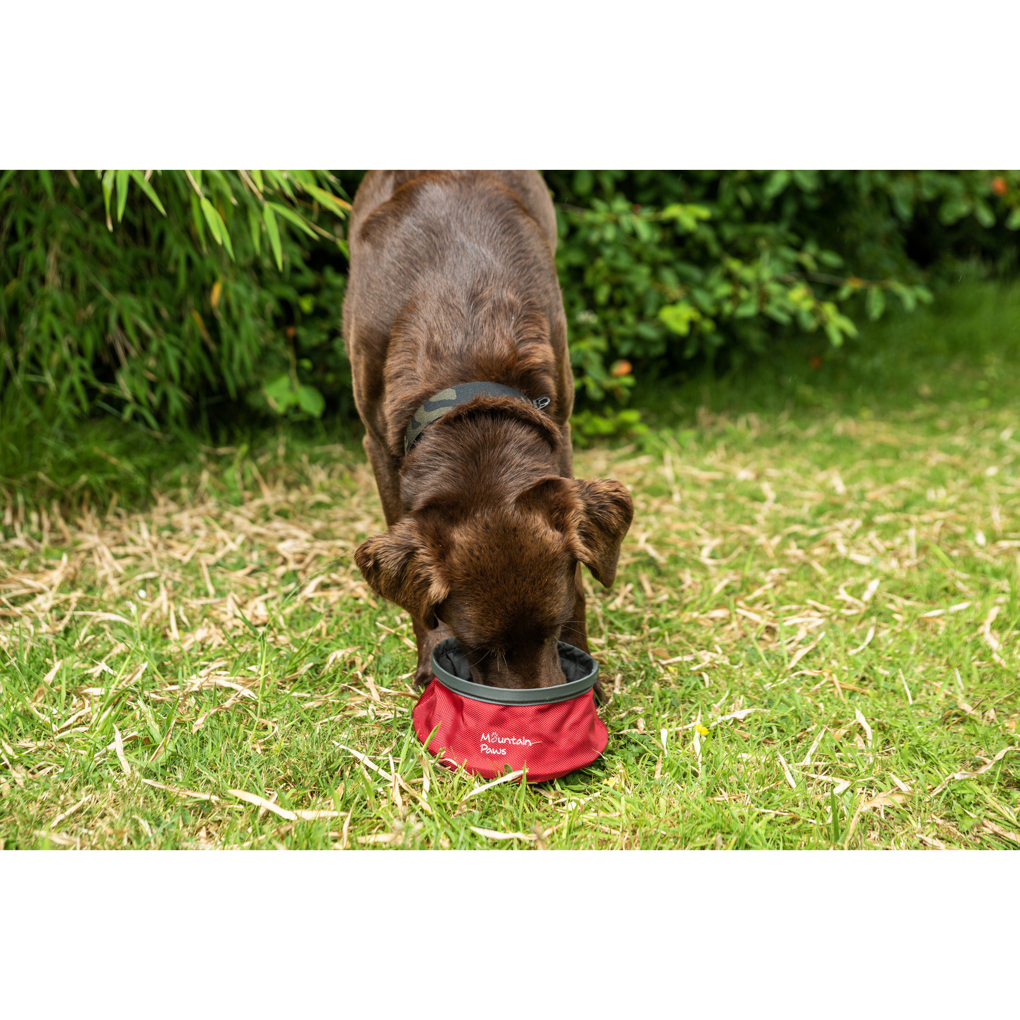 Składana, turystyczna miska na wodę dla psa Mountain Paws