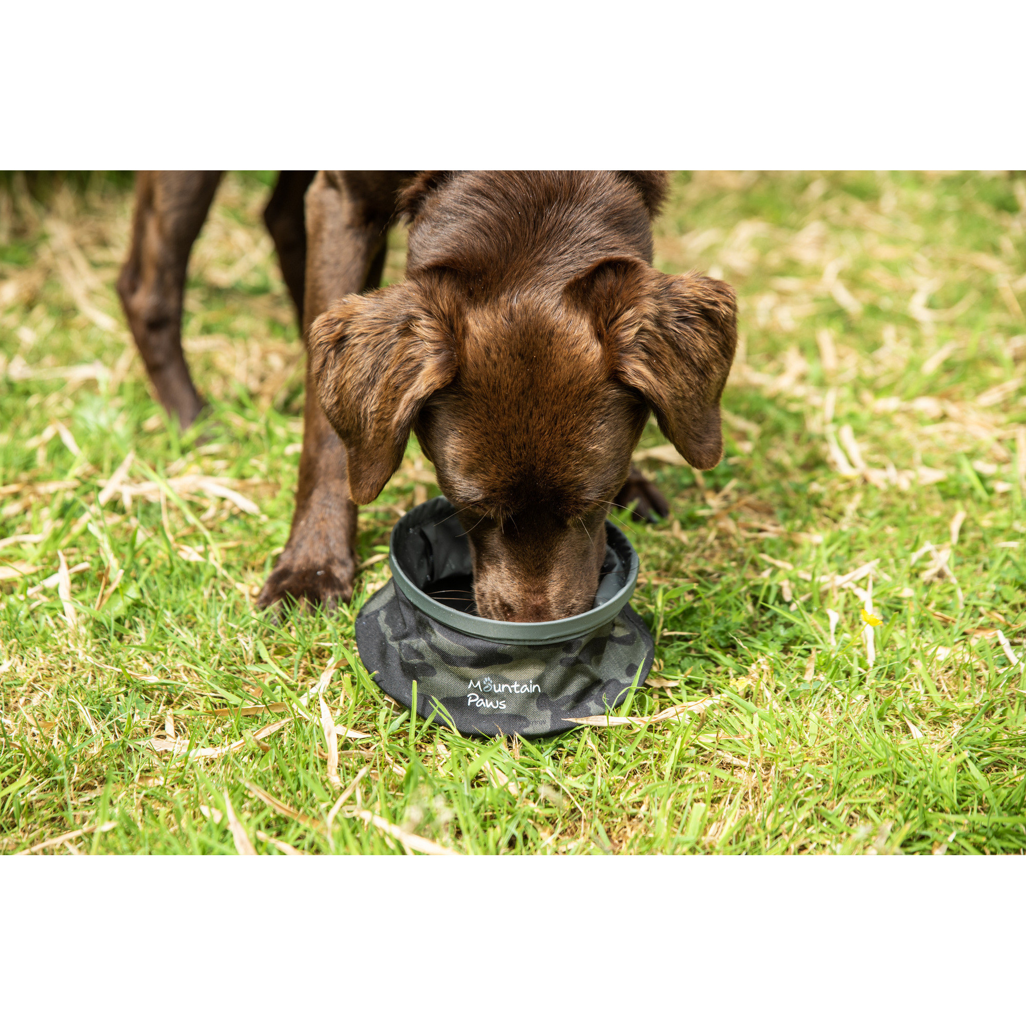 Składana, turystyczna miska na wodę dla psa Mountain Paws