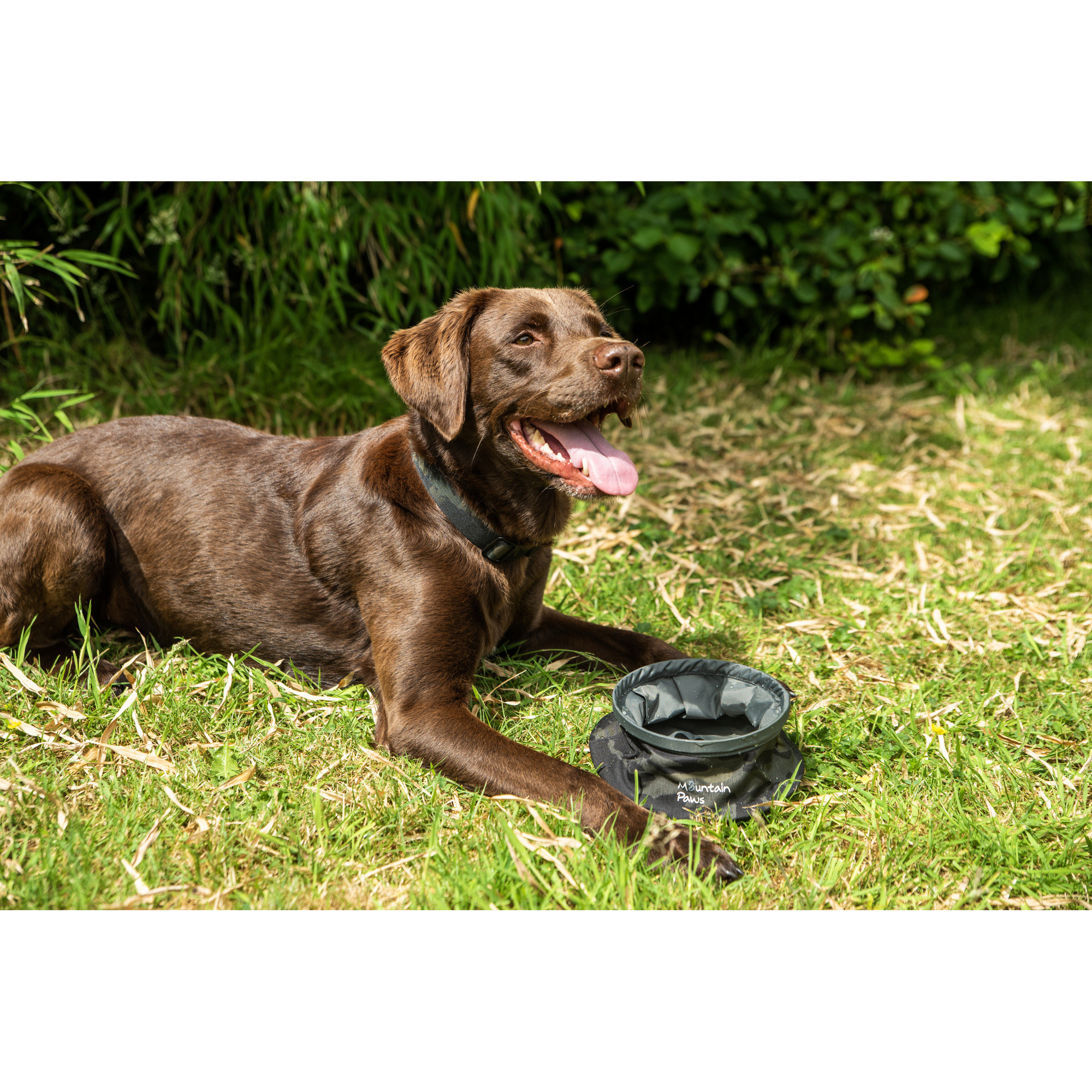 Składana, turystyczna miska na wodę dla psa Mountain Paws