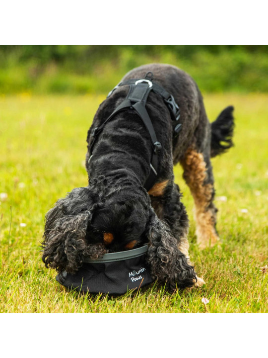 Składana, turystyczna miska na wodę dla psa Mountain Paws