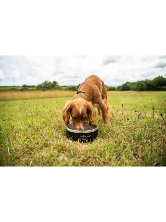 Stalowa miska dla psa Mountain Paws