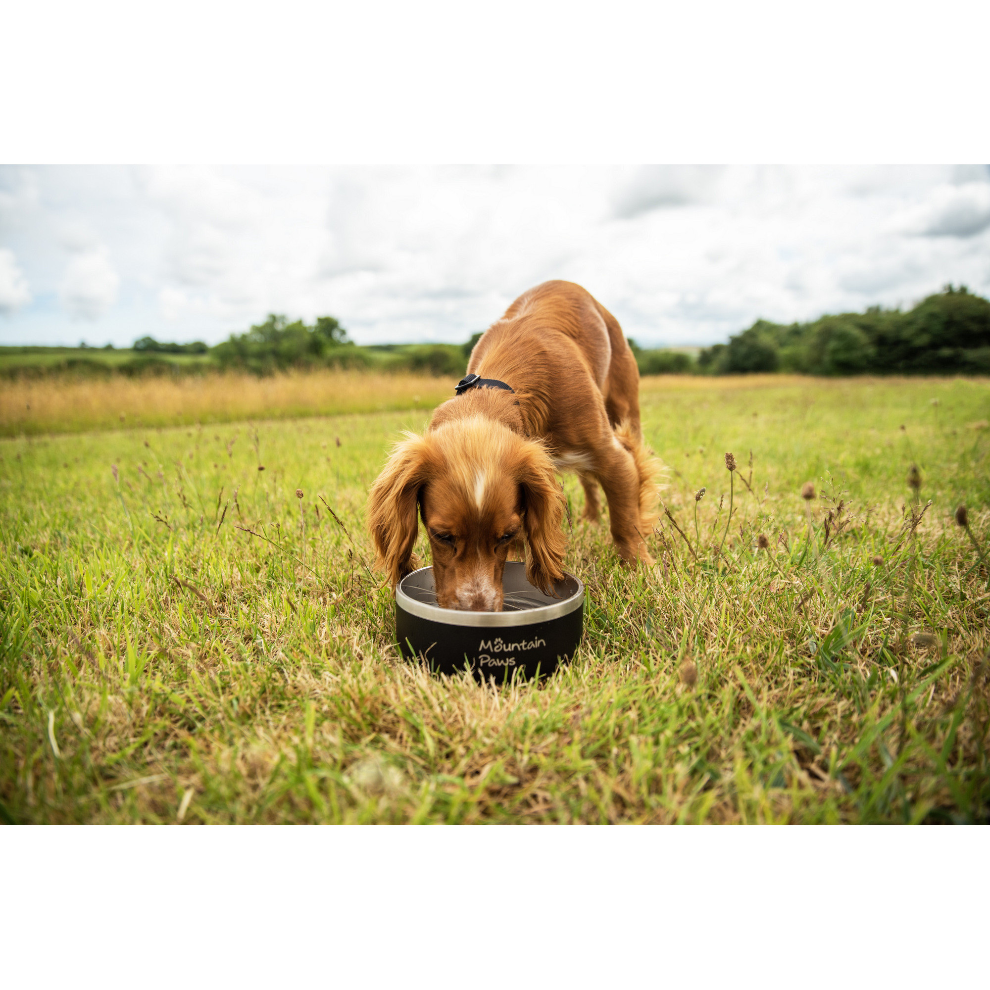 Stalowa miska dla psa Mountain Paws
