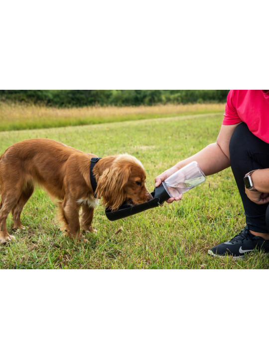 Butelka z poidłem dla psa Mountain Paws
