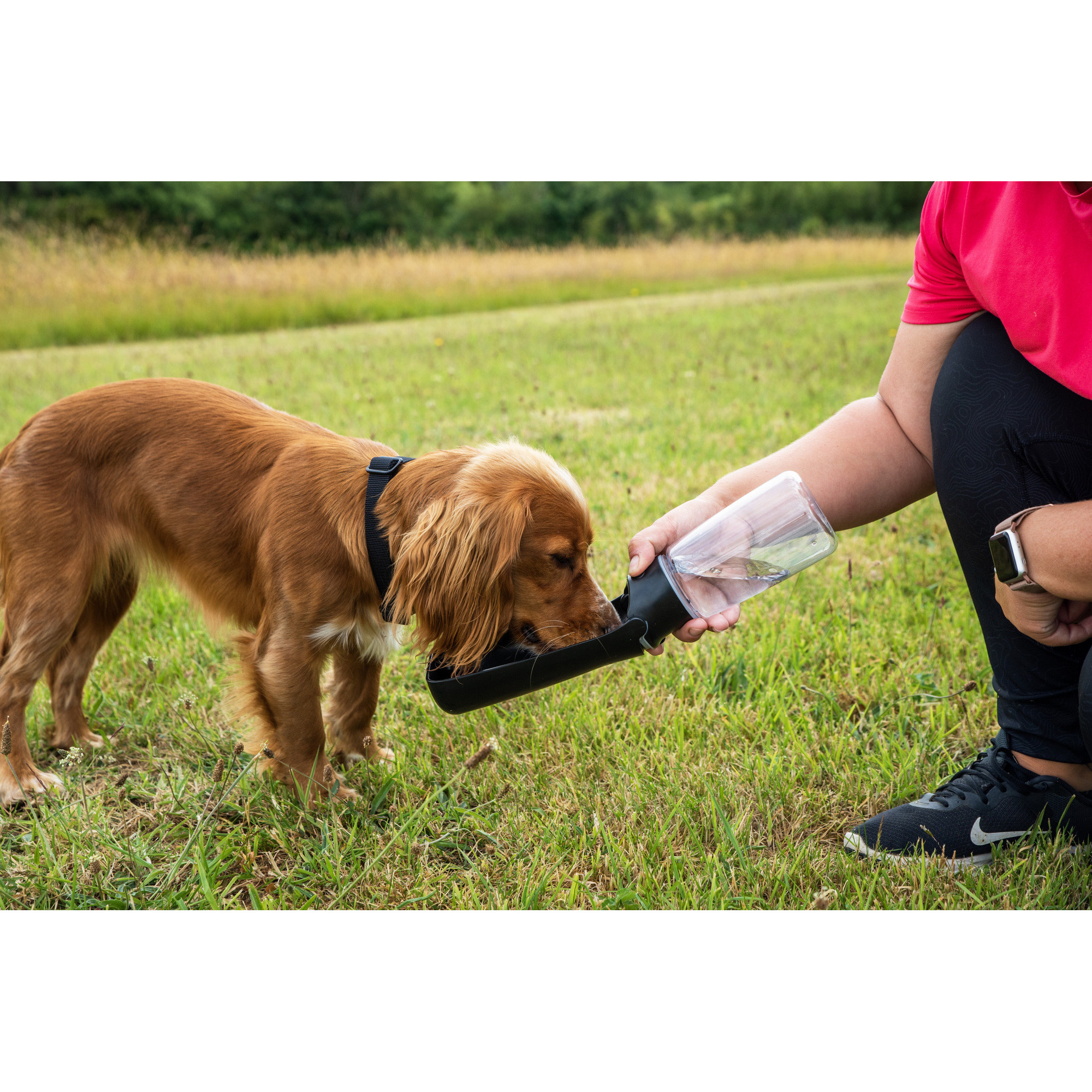 Butelka z poidłem dla psa Mountain Paws