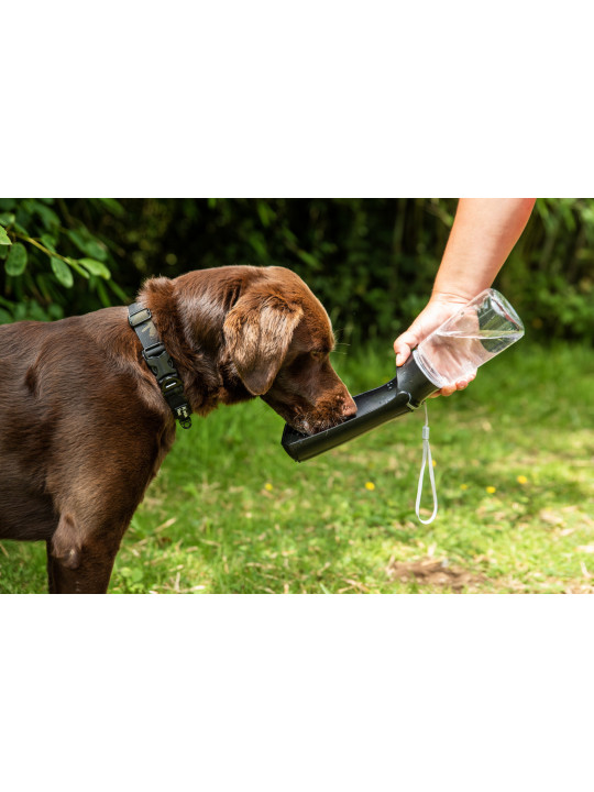 Butelka z poidłem dla psa Mountain Paws