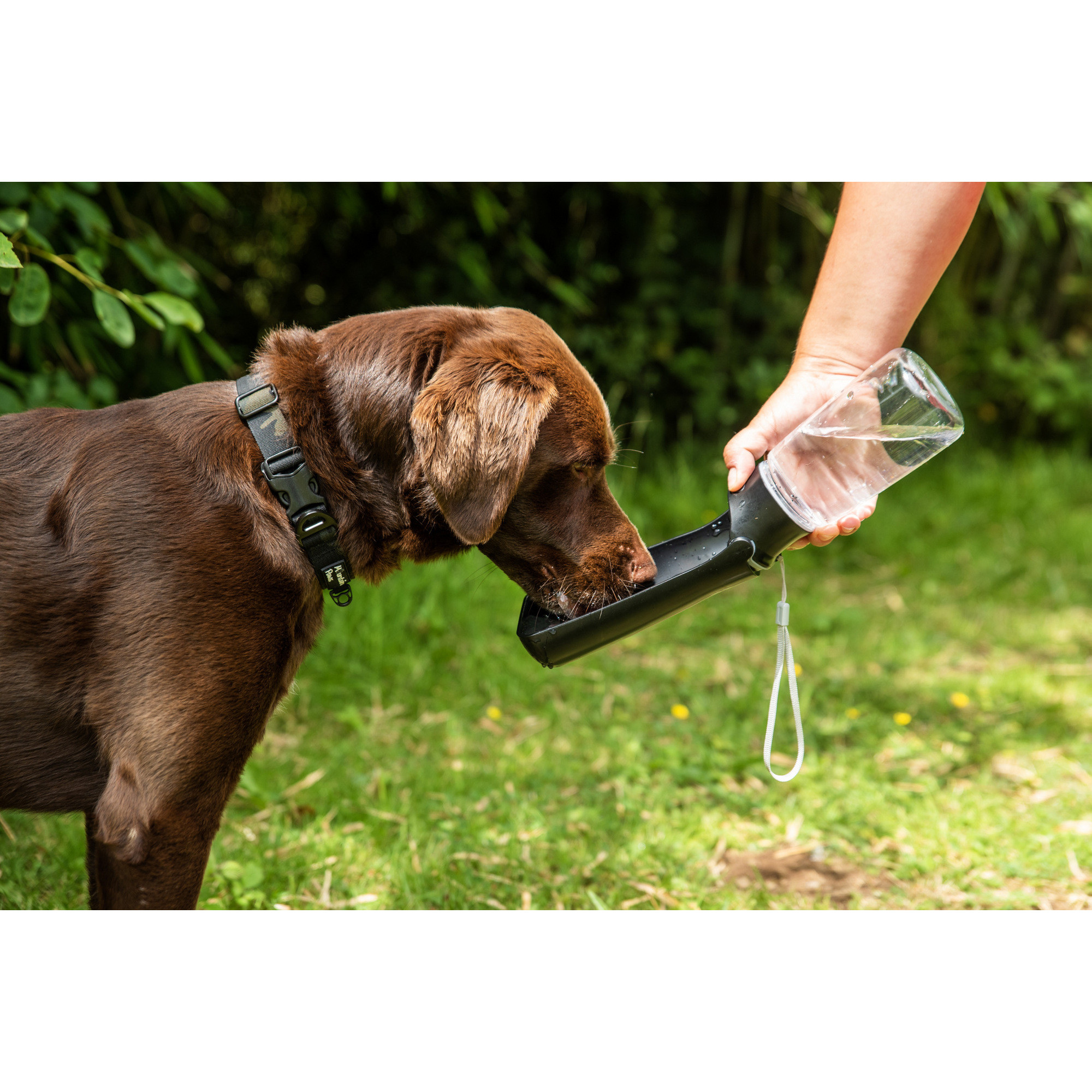Butelka z poidłem dla psa Mountain Paws