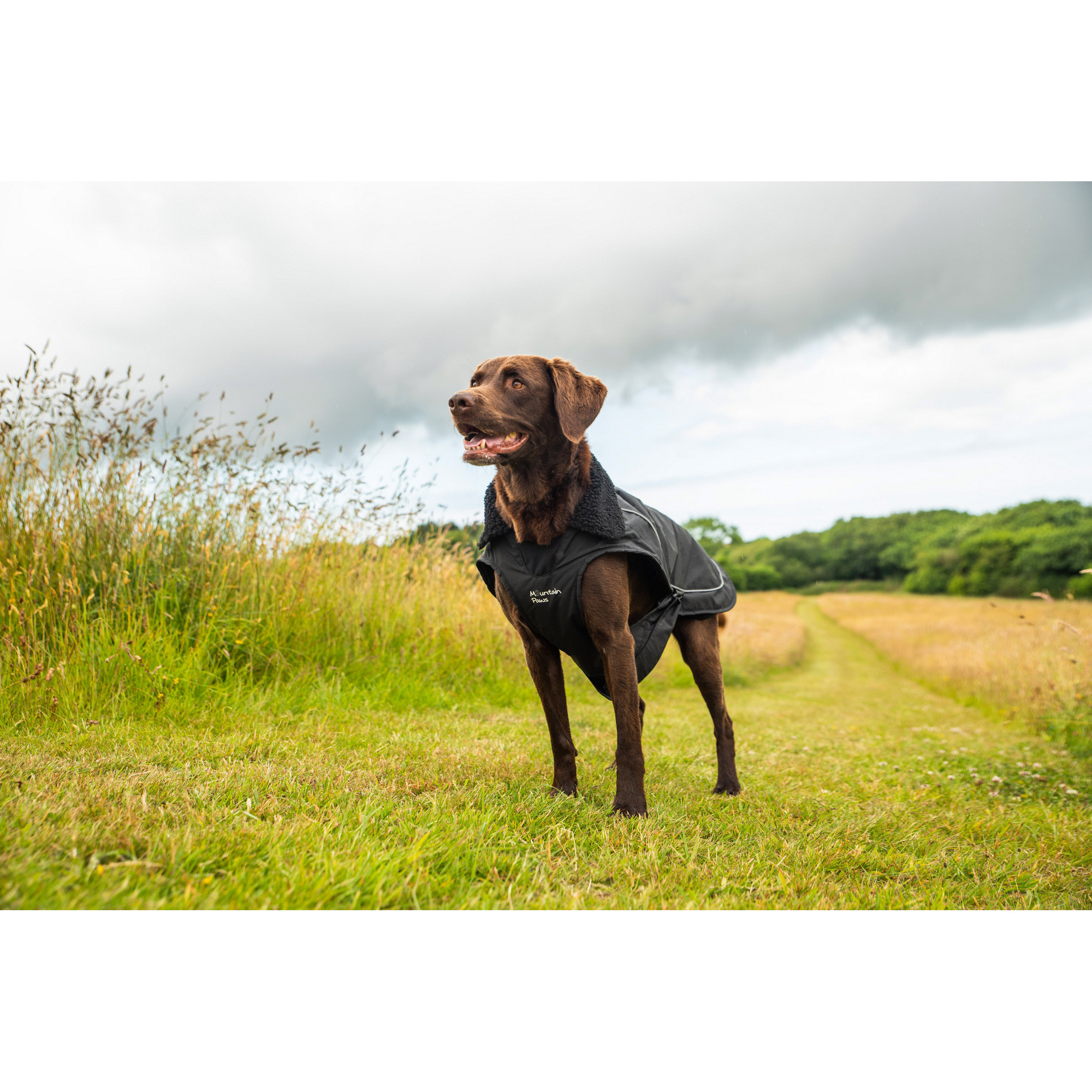 Ocieplany płaszcz przeciwdeszczowy dla psa Mountain Paws