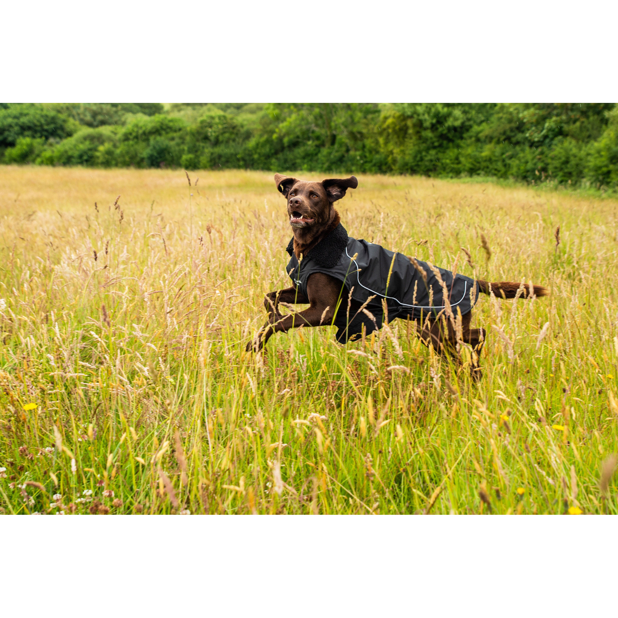 Ocieplany płaszcz przeciwdeszczowy dla psa Mountain Paws