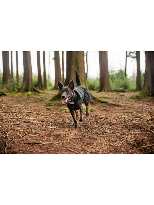 Ocieplany płaszcz przeciwdeszczowy dla psa Mountain Paws