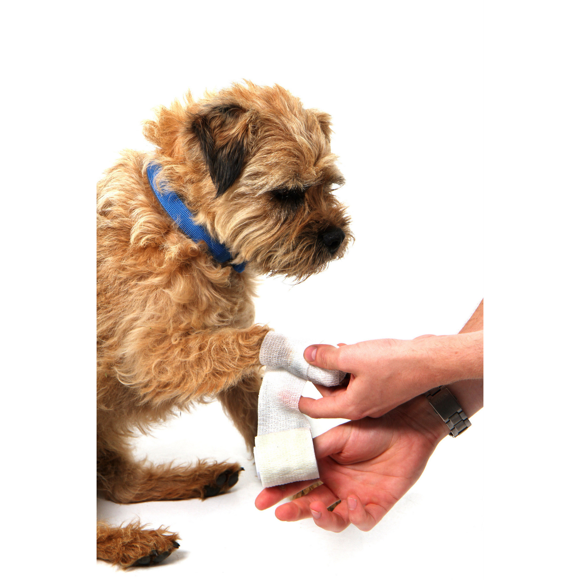 Apteczka pierwszej pomocy dla psa Mountain Paws