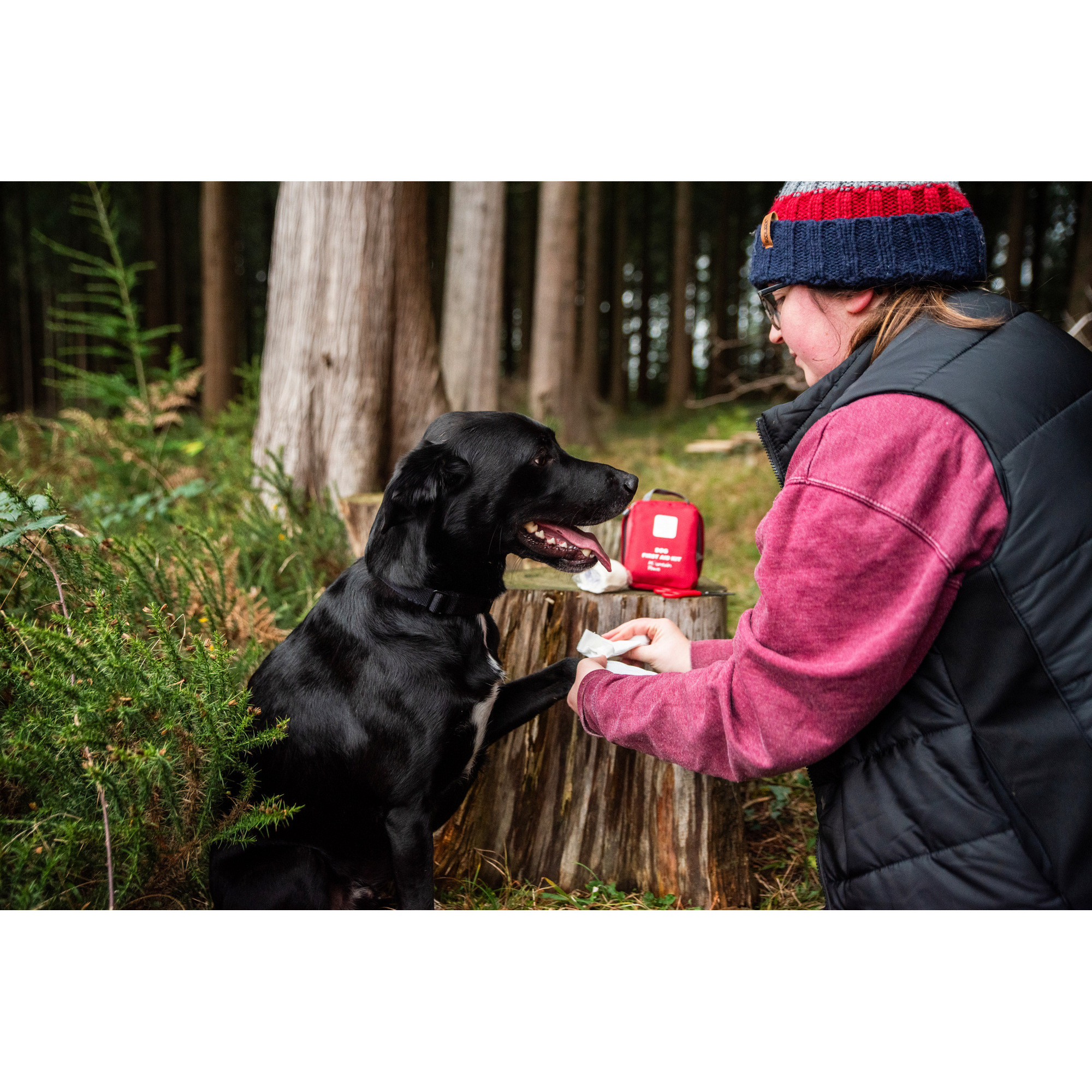 Apteczka pierwszej pomocy dla psa Mountain Paws