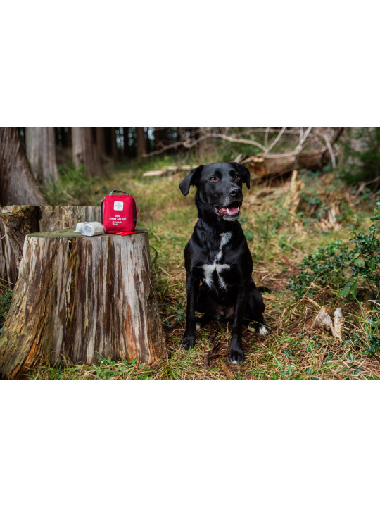 Apteczka pierwszej pomocy dla psa Mountain Paws
