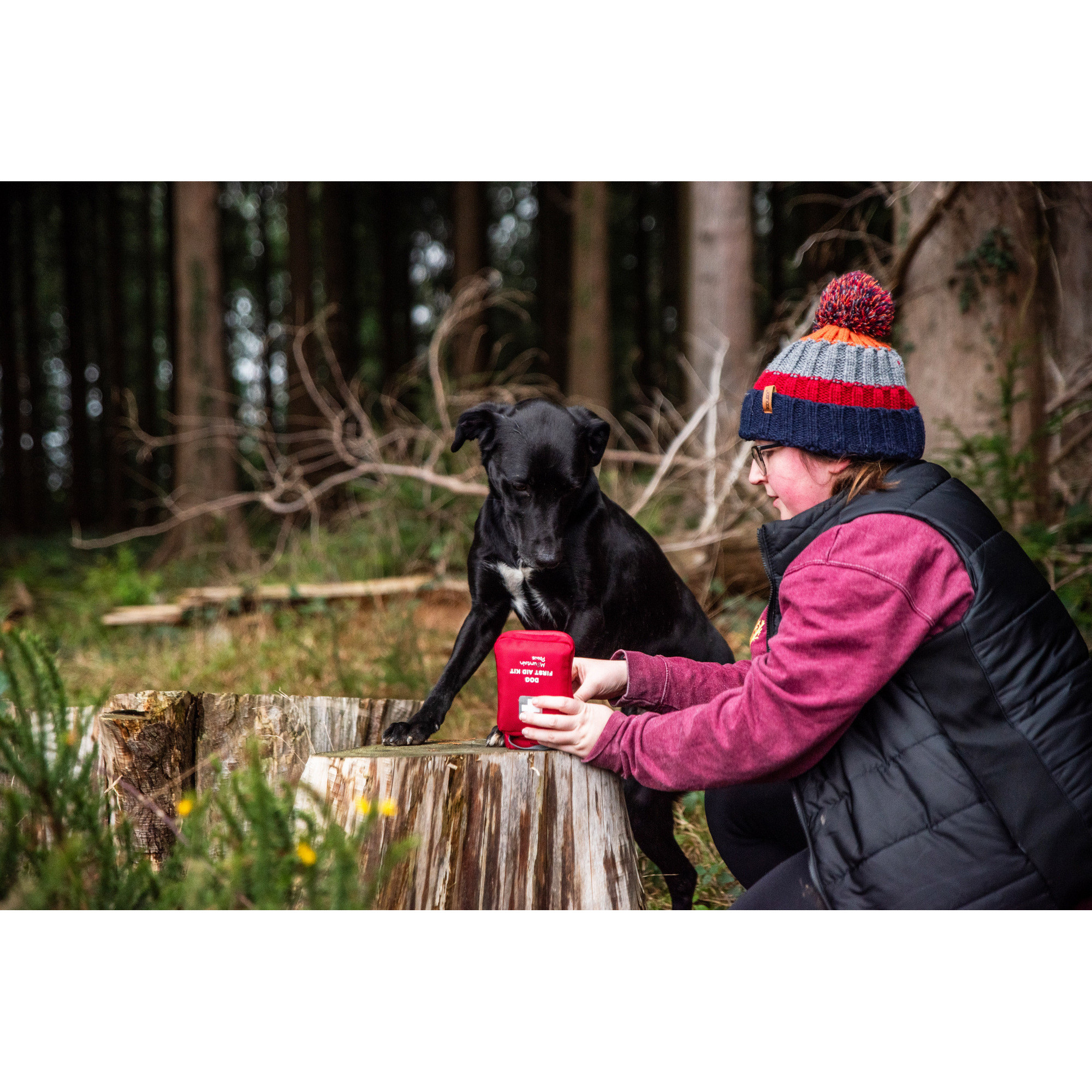 Apteczka pierwszej pomocy dla psa Mountain Paws