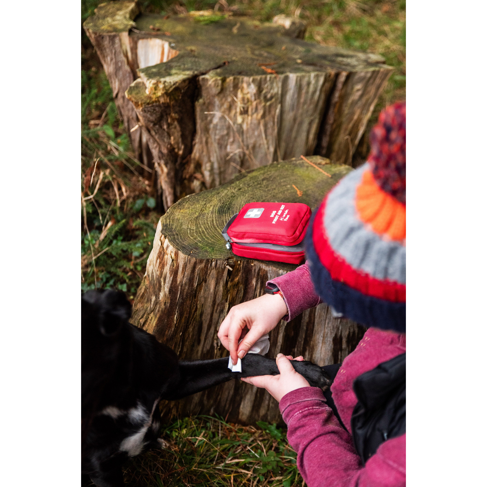 Apteczka pierwszej pomocy dla psa Mountain Paws