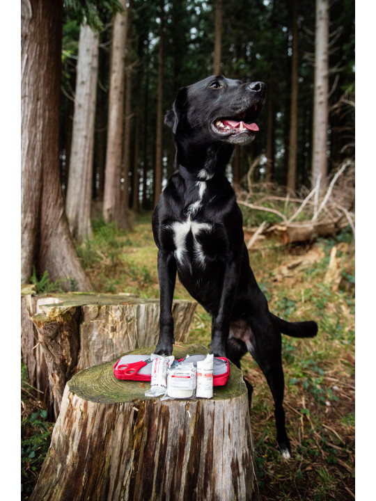 Apteczka pierwszej pomocy dla psa Mountain Paws