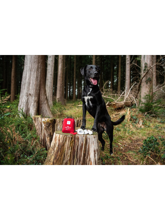 Apteczka pierwszej pomocy dla psa Mountain Paws