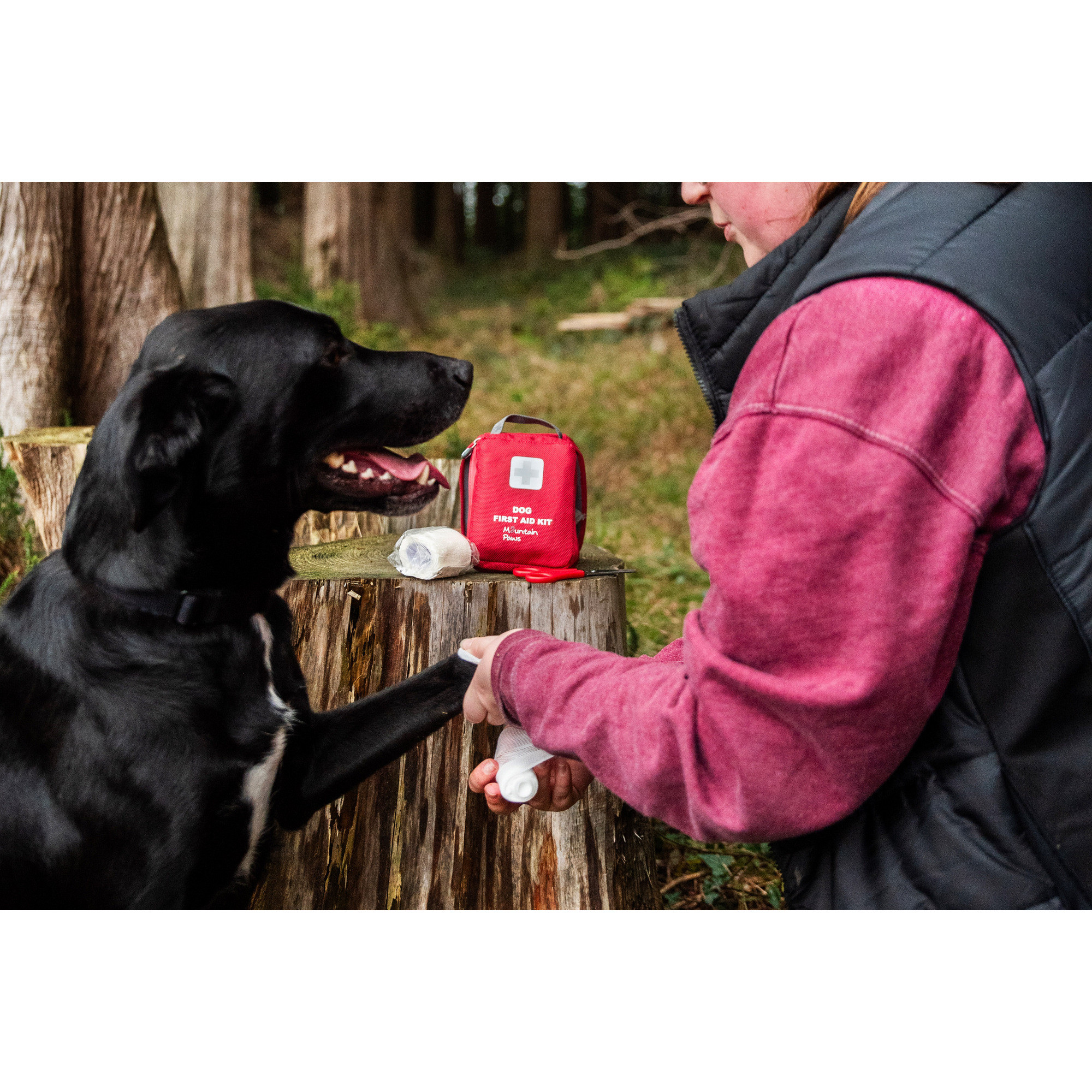 Apteczka pierwszej pomocy dla psa Mountain Paws