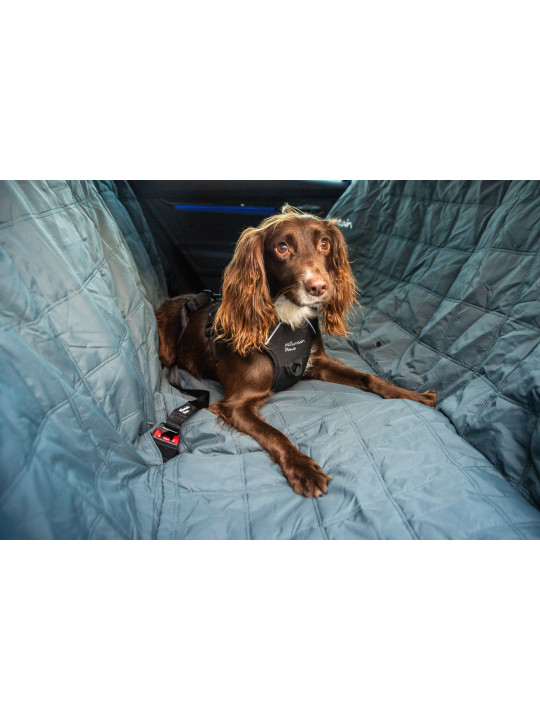 Pas bezpieczeństwa do samochodu dla psa Mountain Paws