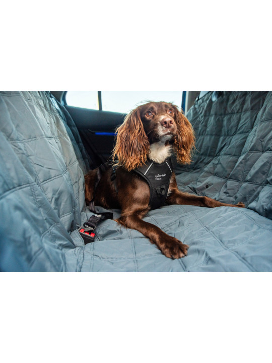 Pas bezpieczeństwa do samochodu dla psa Mountain Paws