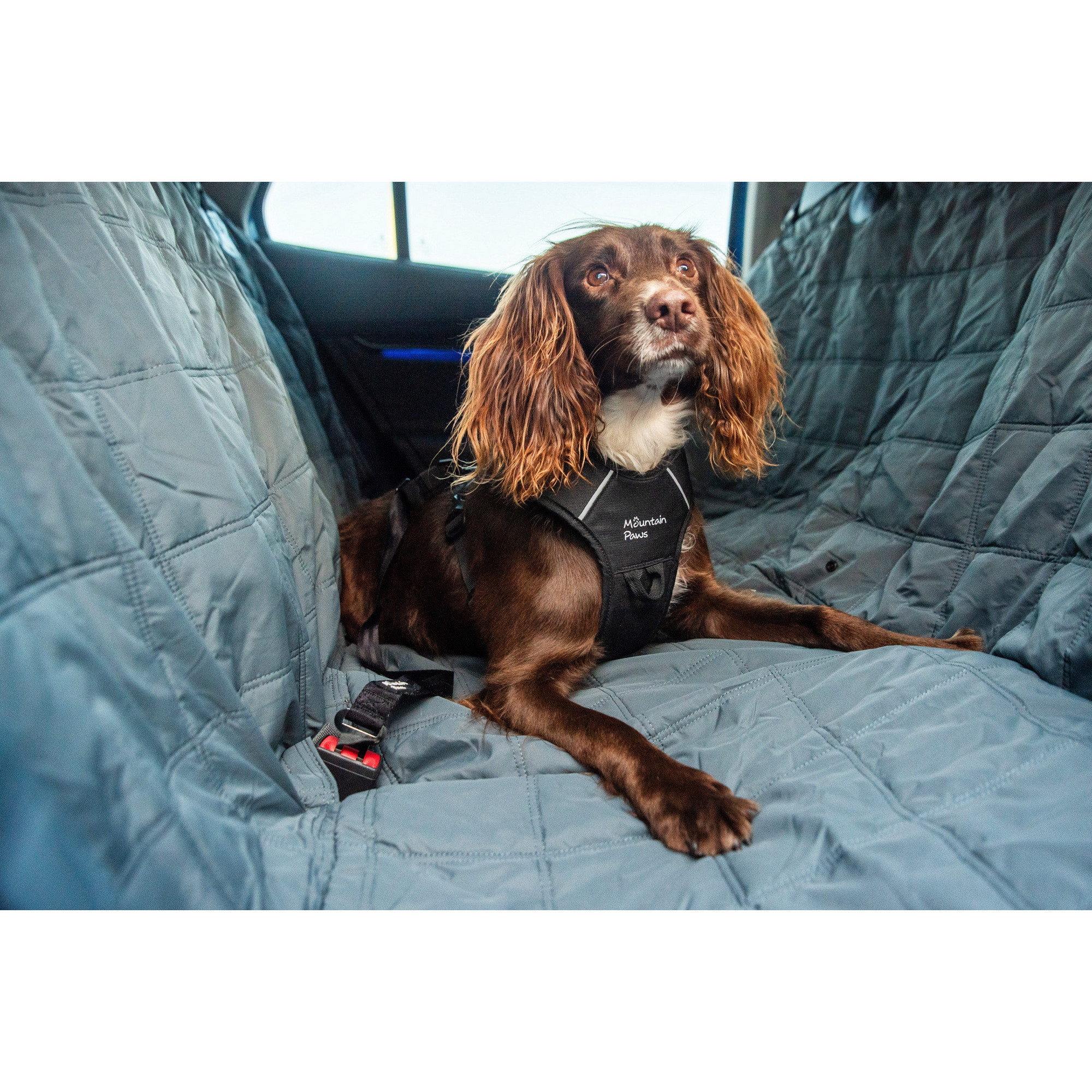 Pas bezpieczeństwa do samochodu dla psa Mountain Paws