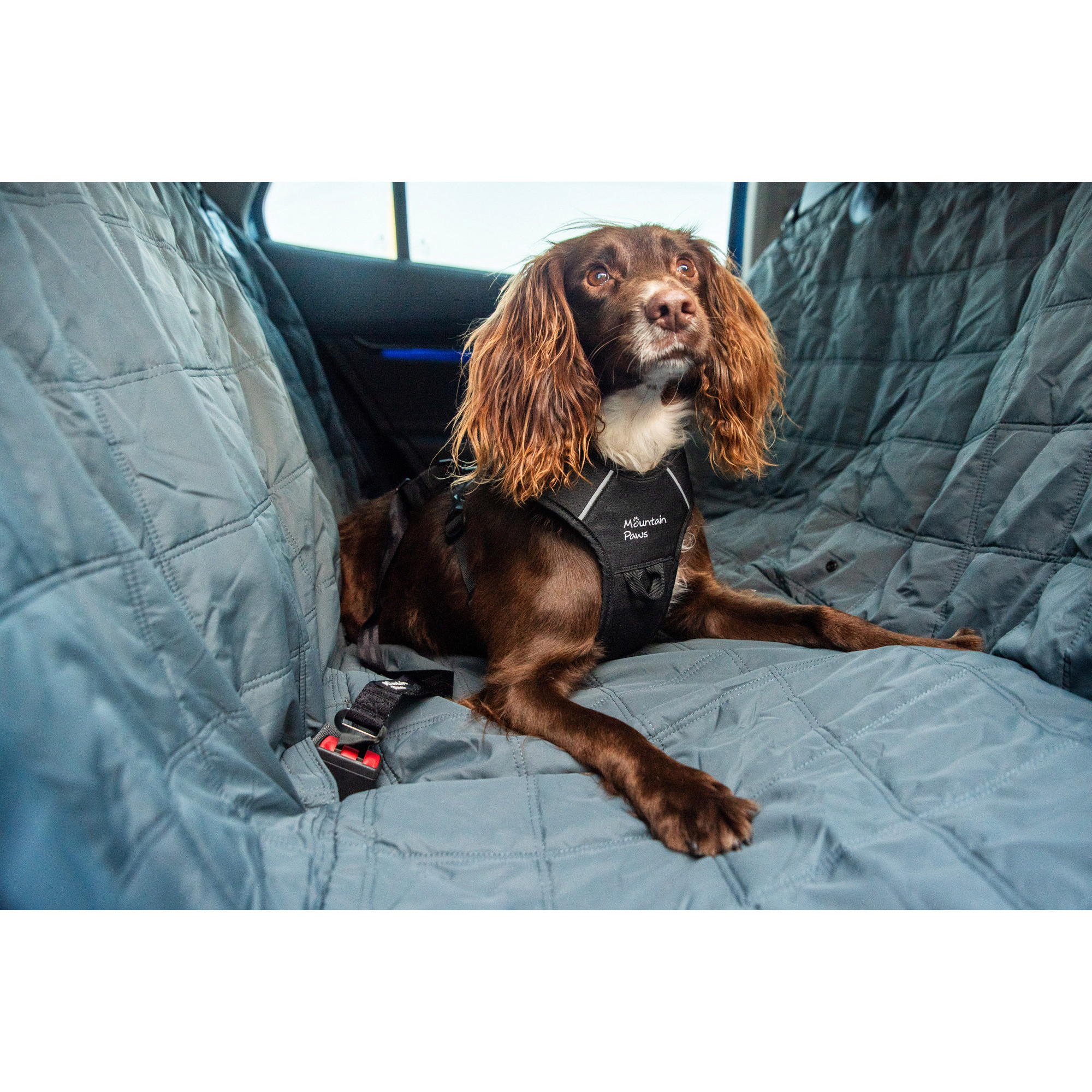 Mata ochronna dla psa do samochodu Mountain Paws