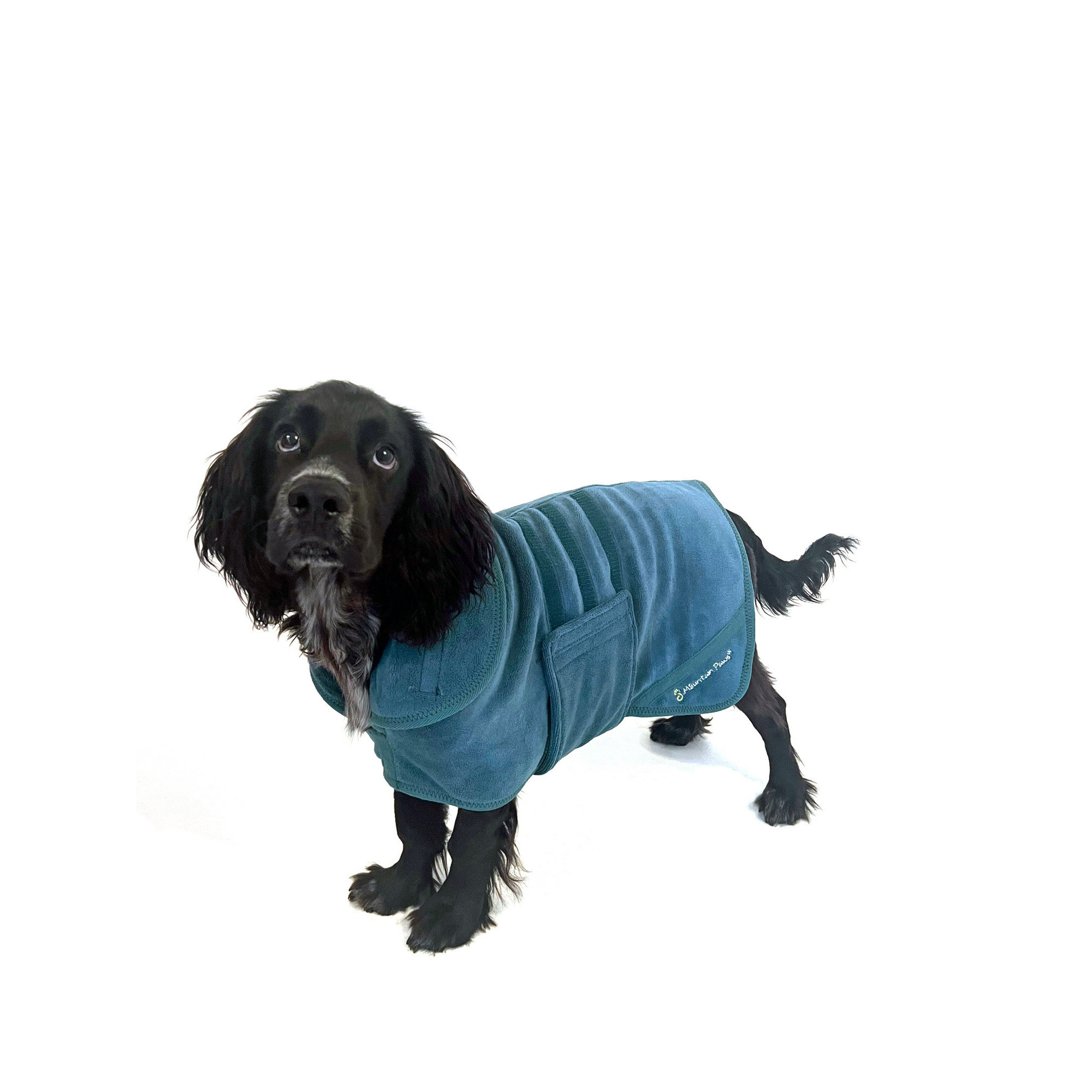 Kamizelka Premium z Mikrofibry dla Psa Mountain Paws – Ciepło, Wygoda i Styl
