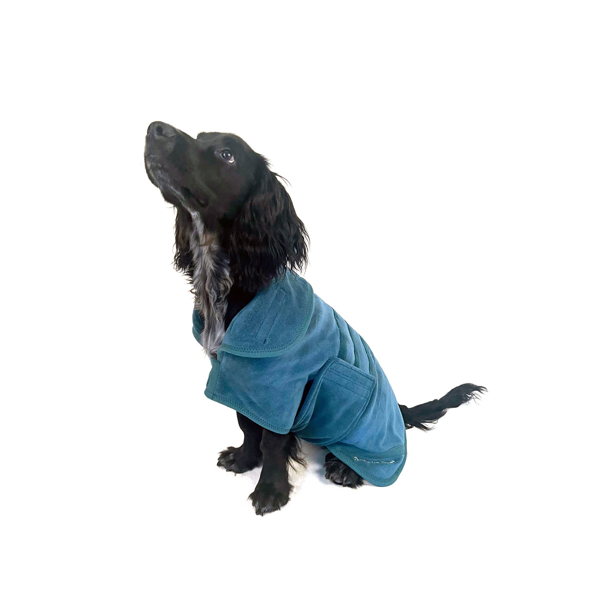 Kamizelka Premium z Mikrofibry dla Psa Mountain Paws – Ciepło, Wygoda i Styl