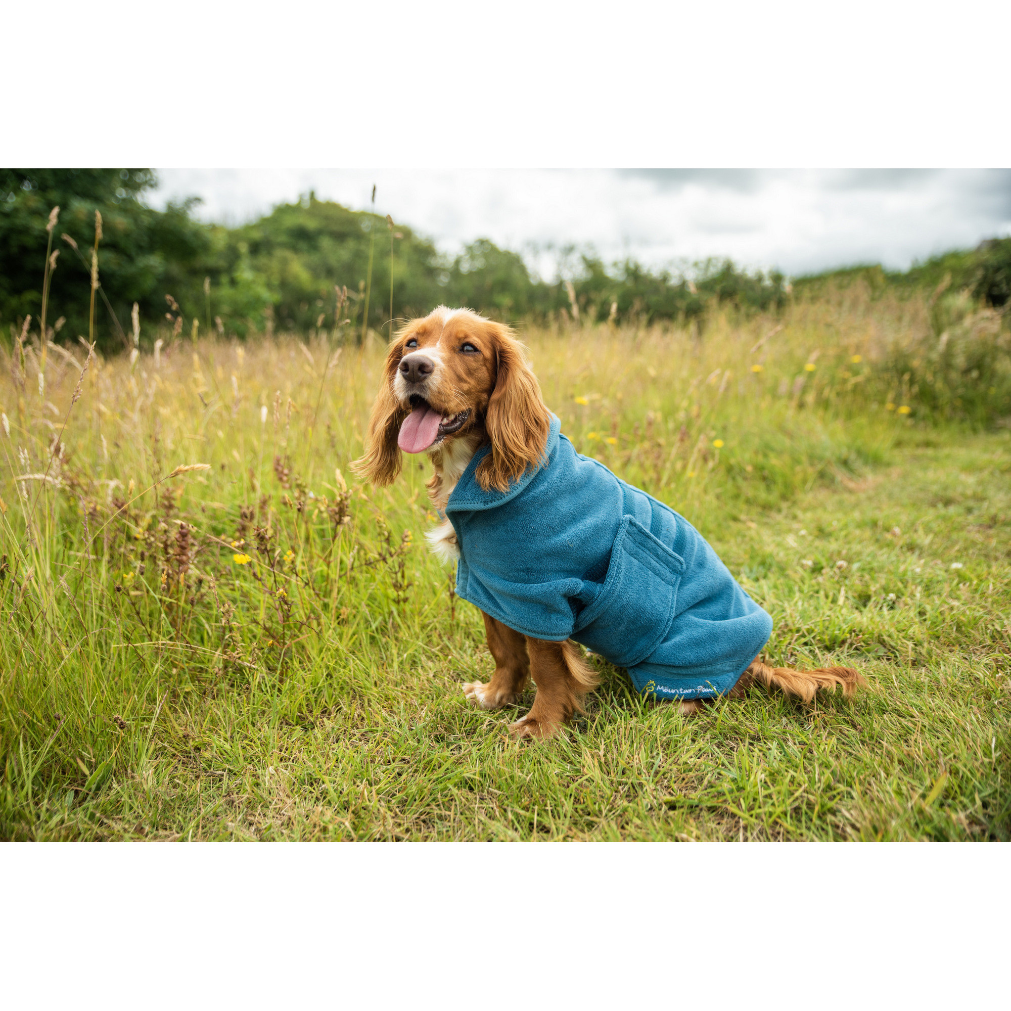 Kamizelka Premium z Mikrofibry dla Psa Mountain Paws – Ciepło, Wygoda i Styl