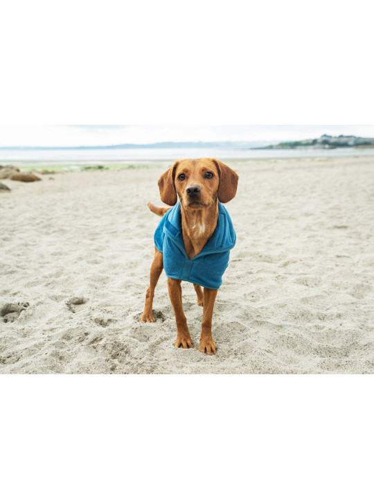 Kamizelka Premium z Mikrofibry dla Psa Mountain Paws – Ciepło, Wygoda i Styl