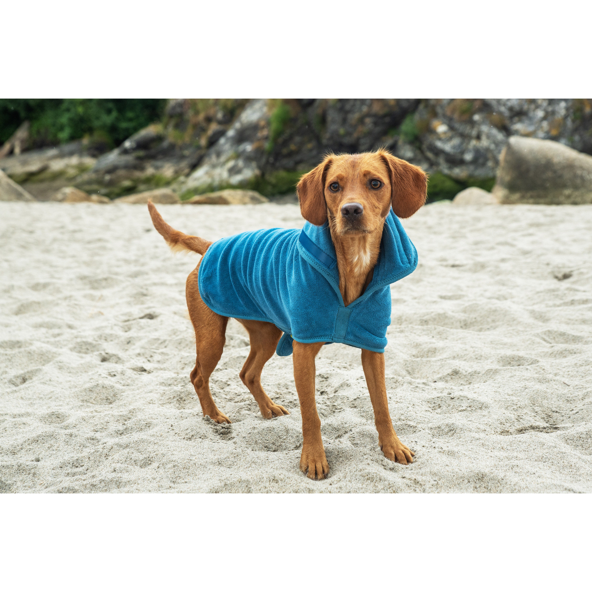 Kamizelka Premium z Mikrofibry dla Psa Mountain Paws – Ciepło, Wygoda i Styl