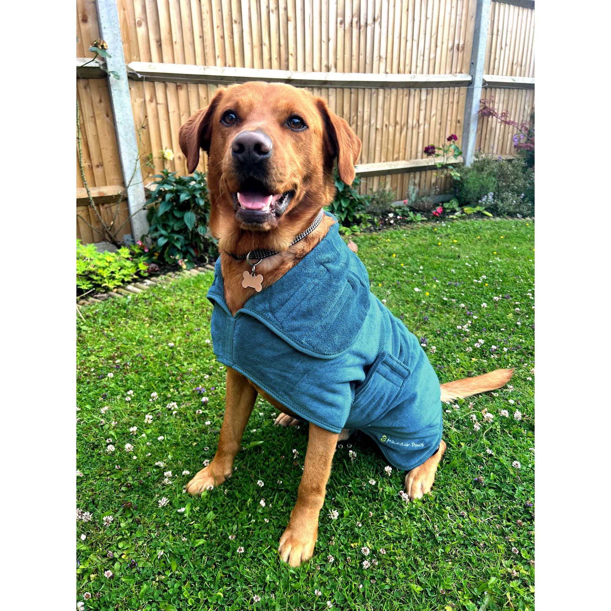 Kamizelka Premium z Mikrofibry dla Psa Mountain Paws – Ciepło, Wygoda i Styl