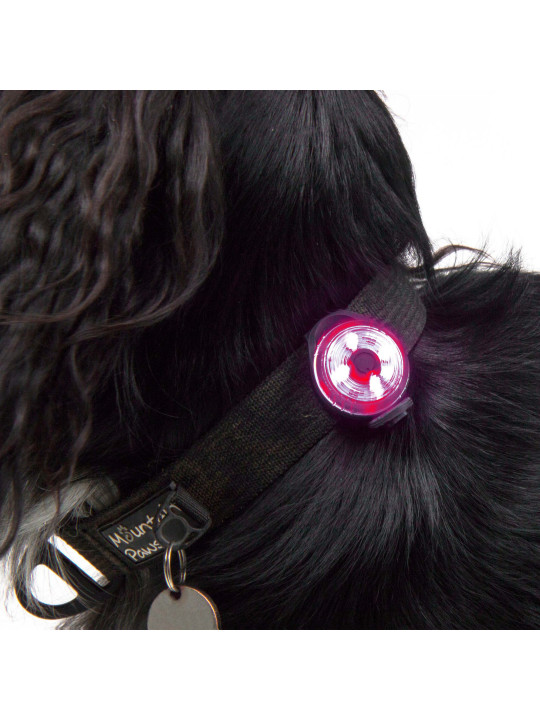 Lampka bezpieczeństwa LED dla psa Mountain Paws, jakość premium