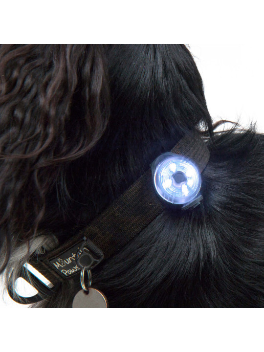 Lampka bezpieczeństwa LED dla psa Mountain Paws, jakość premium