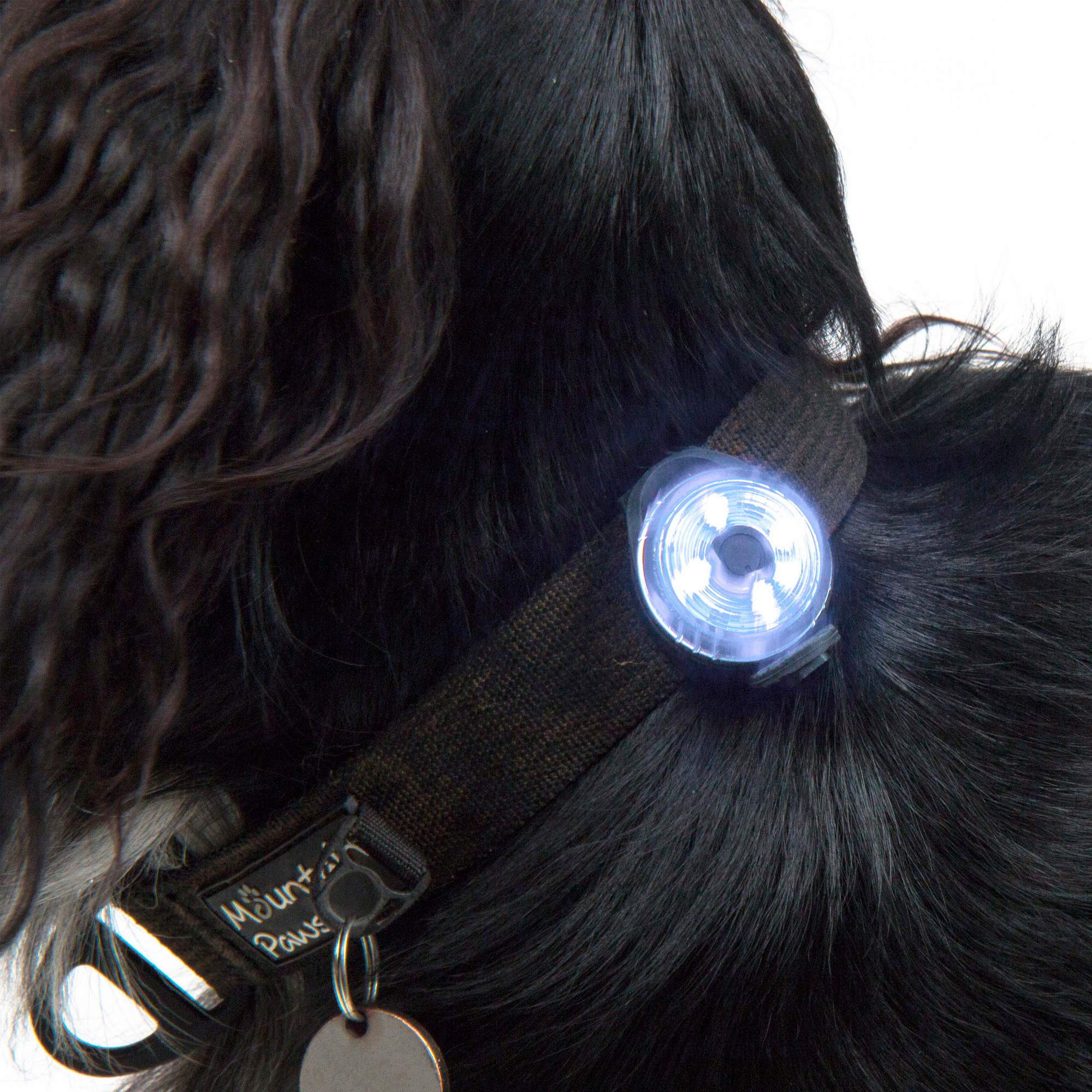 Lampka bezpieczeństwa LED dla psa Mountain Paws, jakość premium