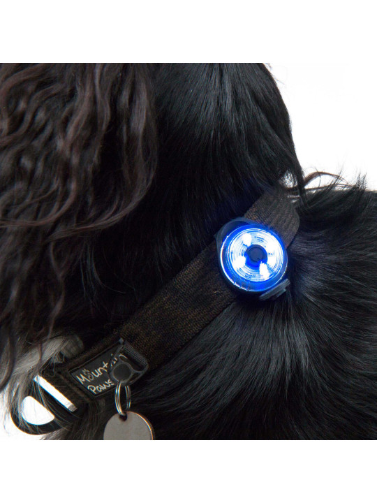 Lampka bezpieczeństwa LED dla psa Mountain Paws, jakość premium