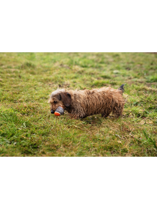 Piłki tenisowe do miotacza piłek dla psa - 3 szt Mountain Paws