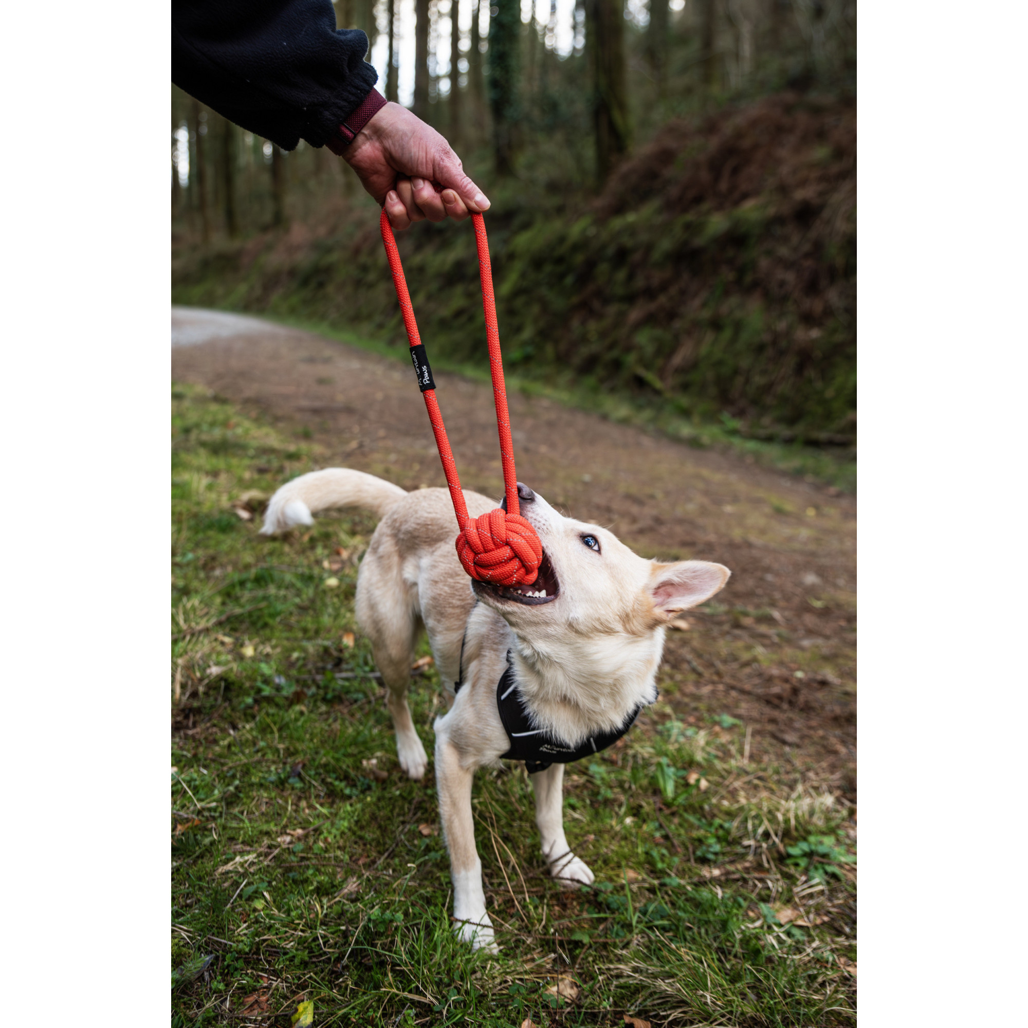 Zabawka dla psa, piłka sznurowa Ball Rope Mountain Paws