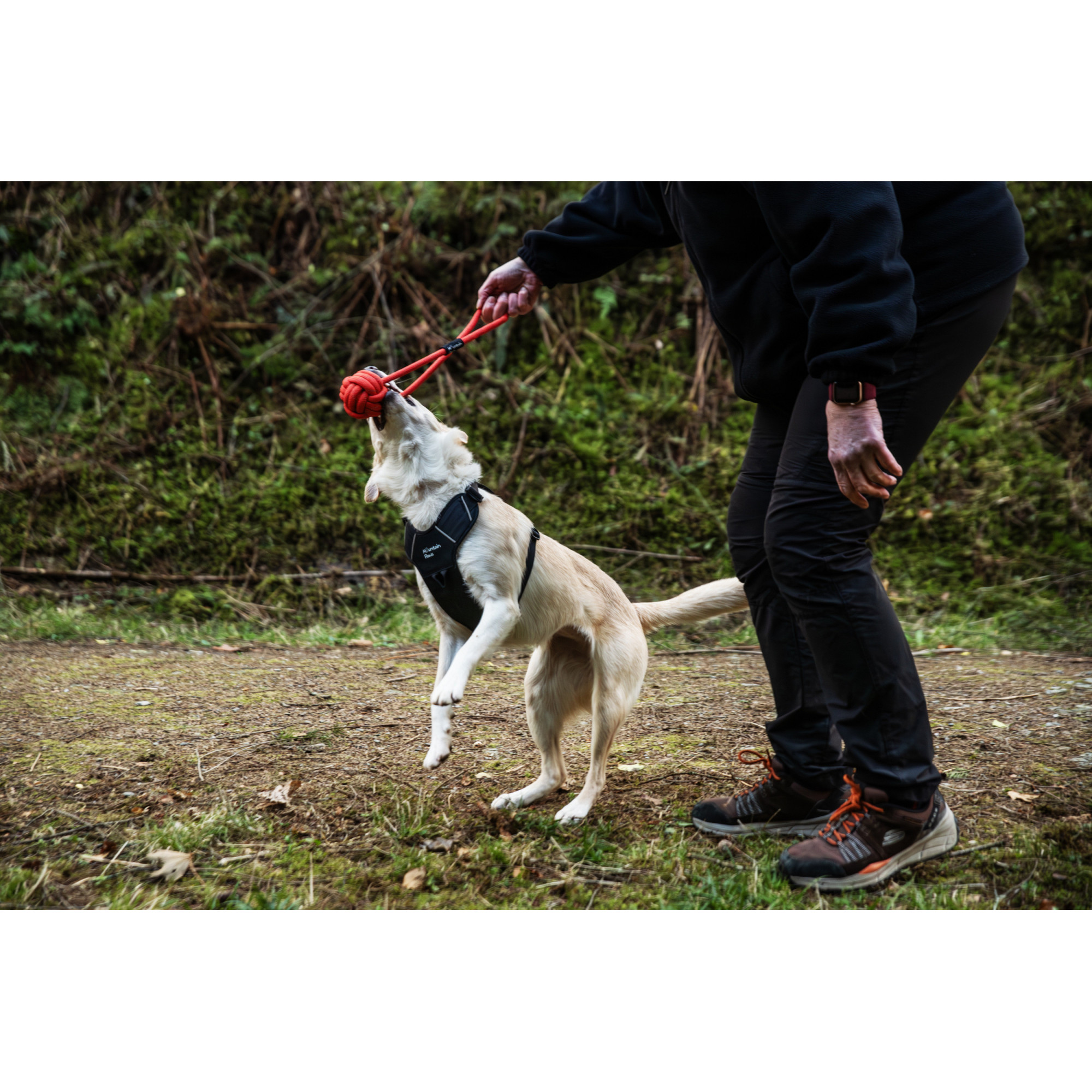 Zabawka dla psa, piłka sznurowa Ball Rope Mountain Paws