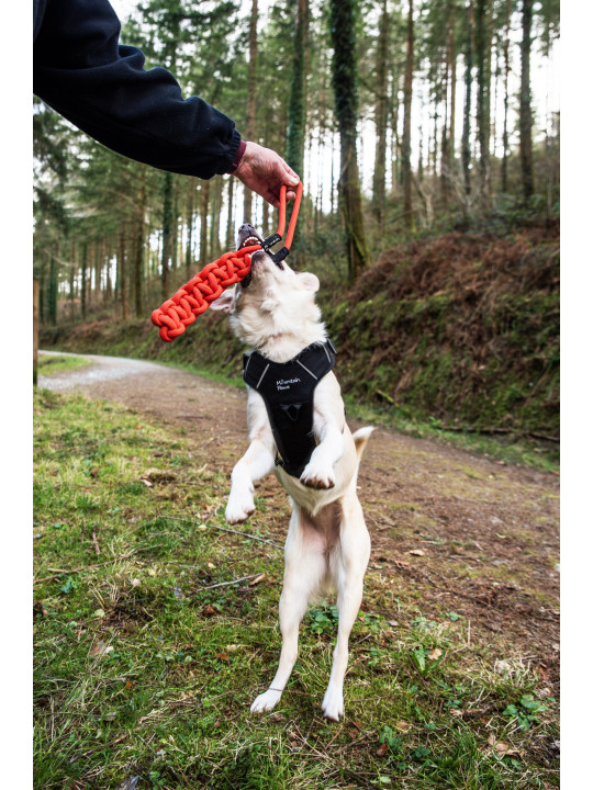 Zabawka dla psa płaski gryzak z liny Mountain Paws