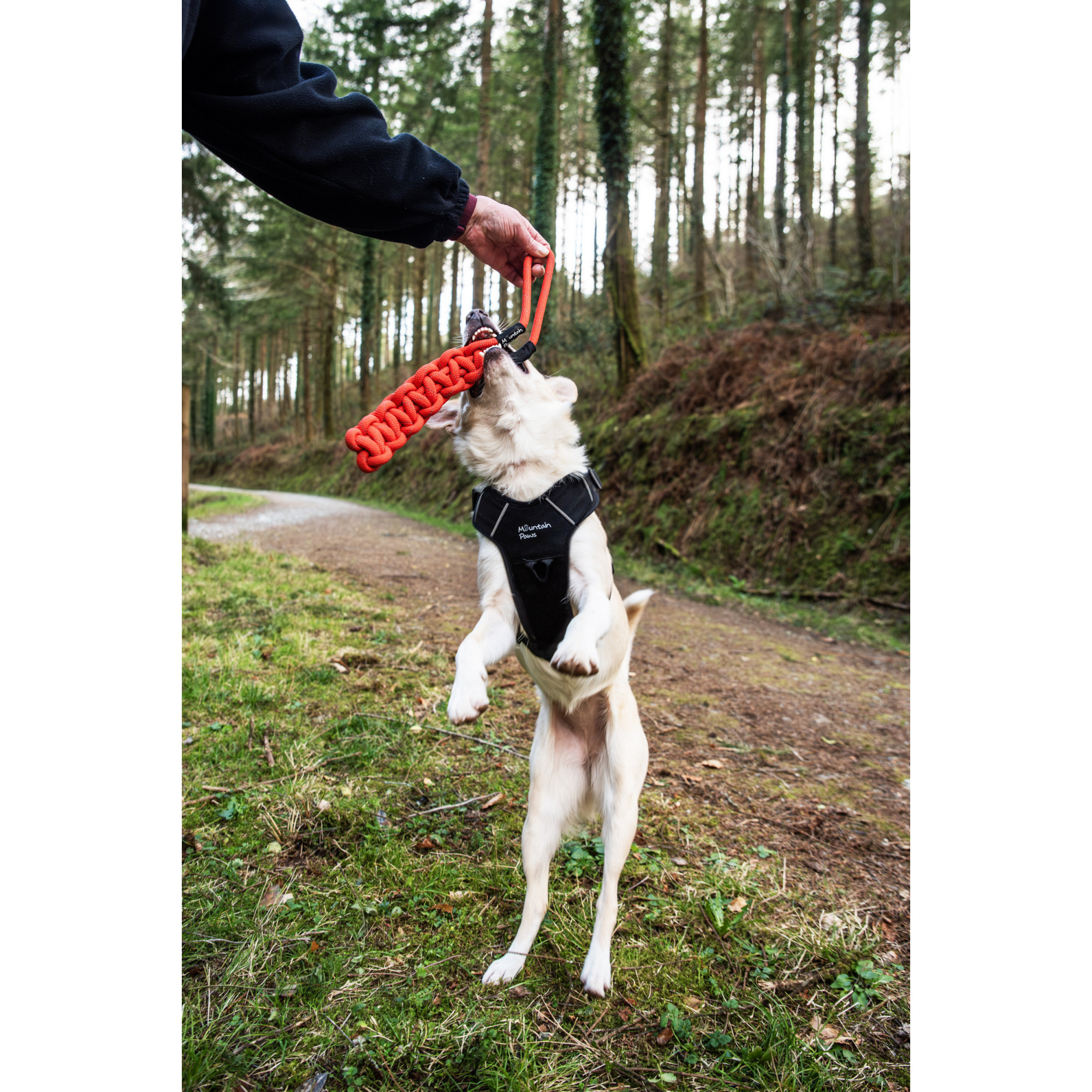 Zabawka dla psa płaski gryzak z liny Mountain Paws